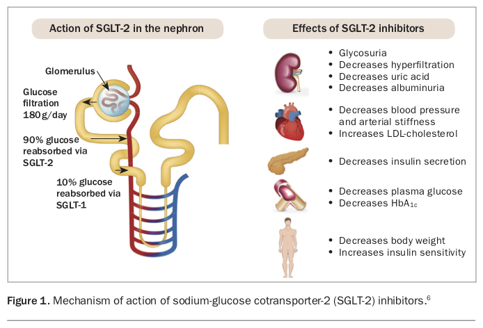 Navigating the new diabetes drugs: cardiovascular benefits and when to